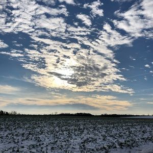 Meet your Posher, Nick